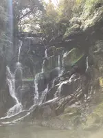 白糸の滝の写真・動画_image_1083721