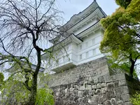 小田原城の写真・動画_image_1097689