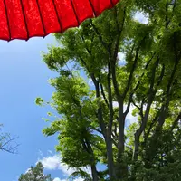 志”満ん草餅（じまんくさもち）の写真・動画_image_1106796