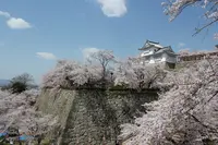 津山城 鶴山公園の写真・動画_image_1113221