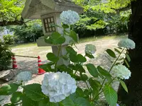 三光神社の写真・動画_image_1129764