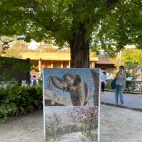 東山動物園の写真・動画_image_1168592
