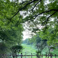 名古屋城の写真・動画_image_1168595