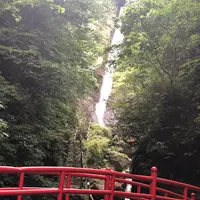 洒水の滝の写真・動画_image_1172850