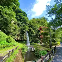 神川大滝公園の写真・動画_image_1193650