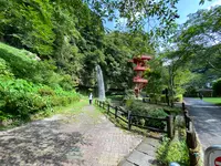 神川大滝公園の写真・動画_image_1193654
