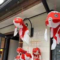 カフェ&バー 金魚亭の写真・動画_image_1194430
