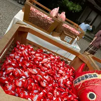 川越氷川神社の写真・動画_image_1194433