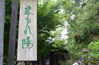 龍泉荘 奥の院 木もれ陽の写真・動画_image_1195433