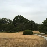 元離宮 二条城の写真・動画_image_1214252