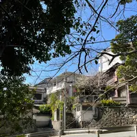 來宮神社の写真・動画_image_1216297