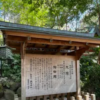 來宮神社の写真・動画_image_1216299