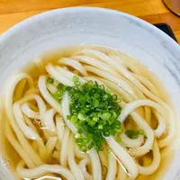 蓮（水元公園）の写真・動画_image_1218794