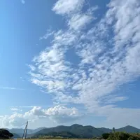 魚津ヶ崎公園の写真・動画_image_1245344