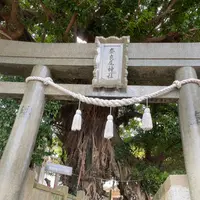 奈良尾神社の写真・動画_image_1245402
