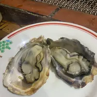 くいどうらくの写真・動画_image_1289323