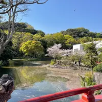 鶴岡八幡宮の写真・動画_image_1324225