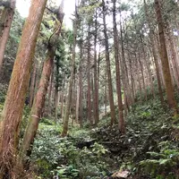 黒山三滝の写真・動画_image_1344774