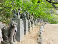 高山稲荷神社の写真・動画_image_1348341