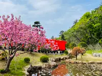 高山稲荷神社の写真・動画_image_1348342