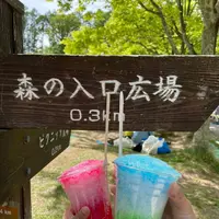 松本市アルプス公園の写真・動画_image_1351357
