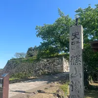 篠山城跡の写真・動画_image_1352904