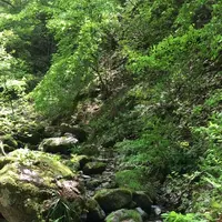 御岳岩石園ロックガーデンの写真・動画_image_1360764