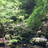 御岳岩石園ロックガーデンの写真・動画_image_1360766