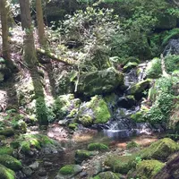 御岳岩石園ロックガーデンの写真・動画_image_1360768