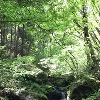 御岳岩石園ロックガーデンの写真・動画_image_1360769