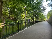 天王寺公園の写真・動画_image_1362028
