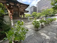 坐摩神社の写真・動画_image_1364876