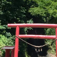 金神の滝の写真・動画_image_1365886