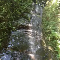 金神の滝の写真・動画_image_1365888