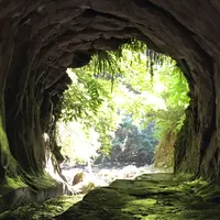 金神の滝の写真・動画_image_1365889