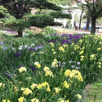 千葉公園の写真・動画_image_1366087