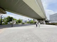 中之島公園 芝生広場の写真・動画_image_1368946