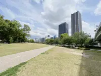 中之島公園 芝生広場の写真・動画_image_1368947