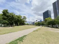 中之島公園 芝生広場の写真・動画_image_1368948