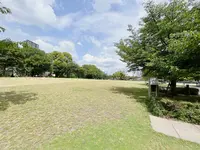 中之島公園 芝生広場の写真・動画_image_1368949