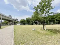 中之島公園 芝生広場の写真・動画_image_1368950