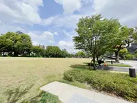 中之島公園 芝生広場の写真・動画_image_1368951