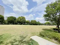 中之島公園 芝生広場の写真・動画_image_1368952