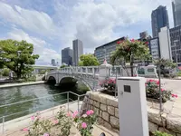 中之島公園 ばらぞの橋の写真・動画_image_1368960
