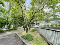 中之島の写真・動画_image_1369265