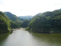 森林の駅　もみじ谷大吊橋の写真・動画_image_1371085