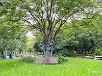市民の森（大阪城公園内）の写真・動画_image_1373807
