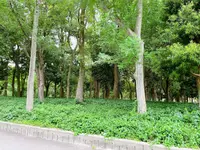 市民の森（大阪城公園内）の写真・動画_image_1373809