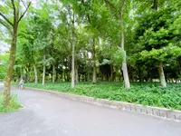 市民の森（大阪城公園内）の写真・動画_image_1373810