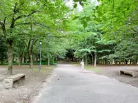 市民の森（大阪城公園内）の写真・動画_image_1373812